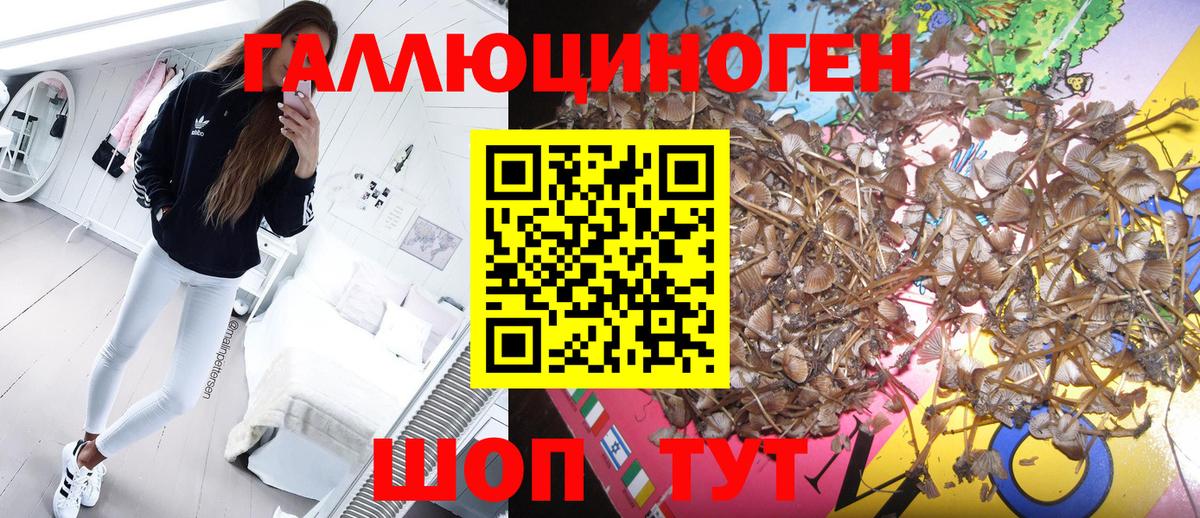 Галлюциногенные грибы ЛСД Мичуринск